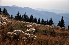 Bulgaria-Mountains-High Balkan Trail Ride